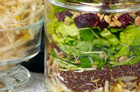 Recette - Salade de graines germées, de quinoa rouge et de canneberges