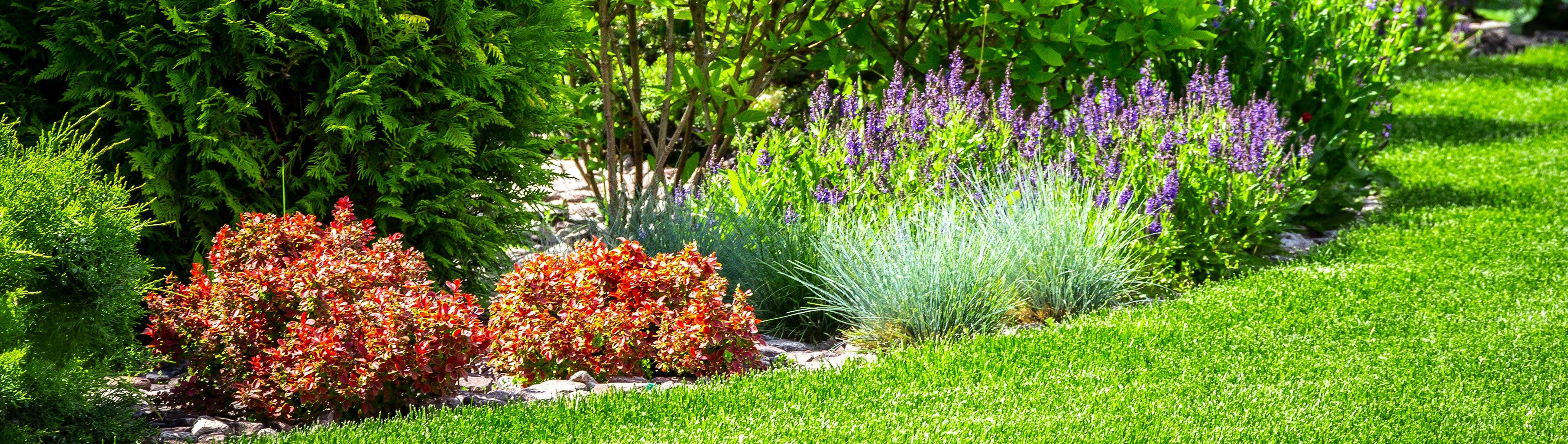 V g taux Jardineries Botanix V g taux Jardineries Botanix