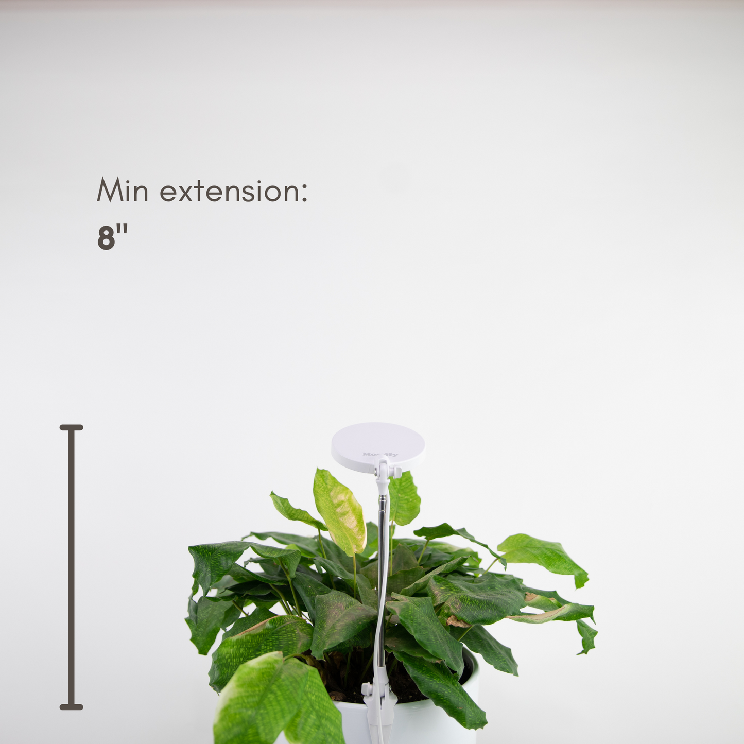 Adjustable LED plant light