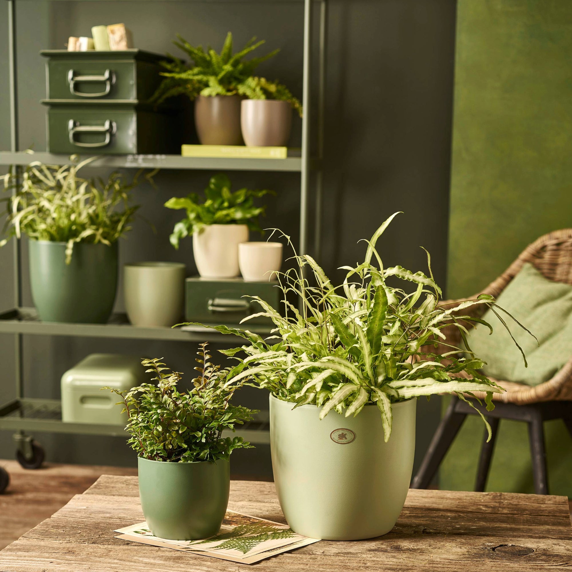 baseless plant pots Ceramic Basel Fashion Pot: Natural & Waterproof Planters