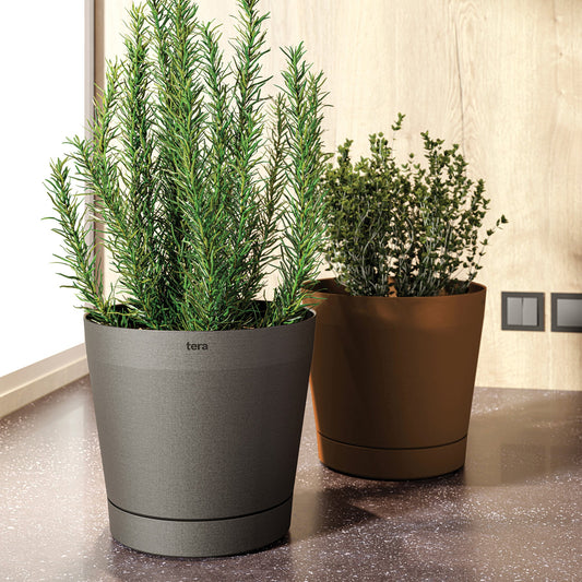 Pot Orione Collection Tera