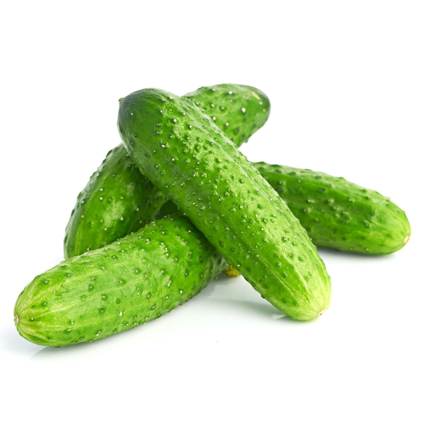 Pickle Cucumber