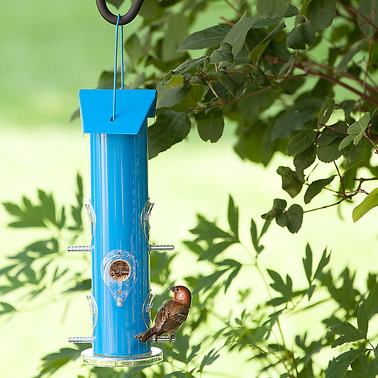 Blue metal tube bird feeder