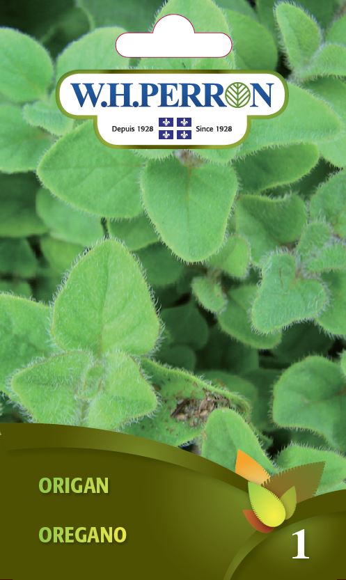 Oregano - Seeds