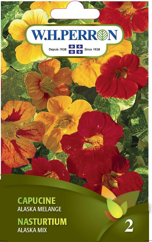 Nasturtium 'Alaska Mix' - Seeds