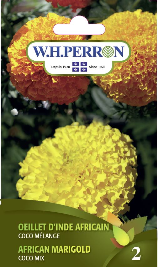 east west marigold seeds African Marigold 'Coco Mix'