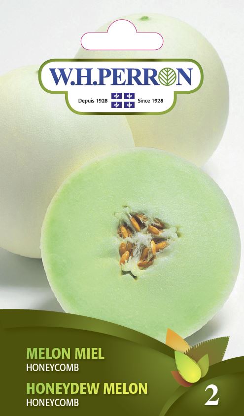 Honeydew melon 'Honeycomb' - Seeds