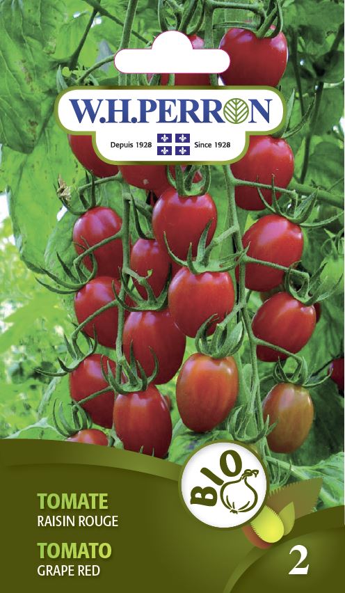 Tomato 'Grape Red' - Seeds