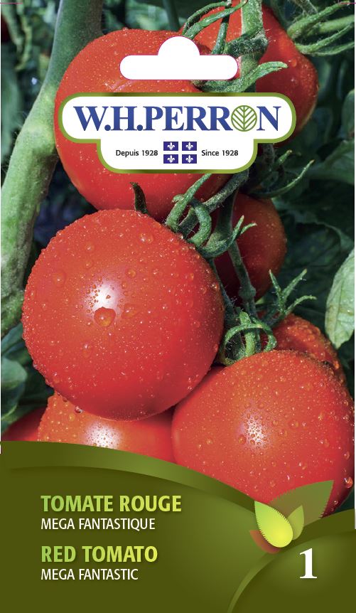 Red tomato 'Mega Fantastic' - Seeds