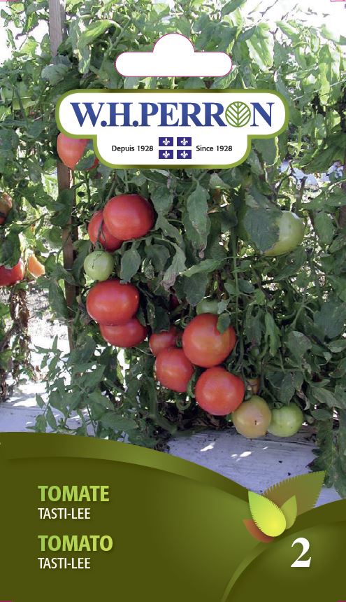 Tomate rouge 'Tasti-Lee' - Semences