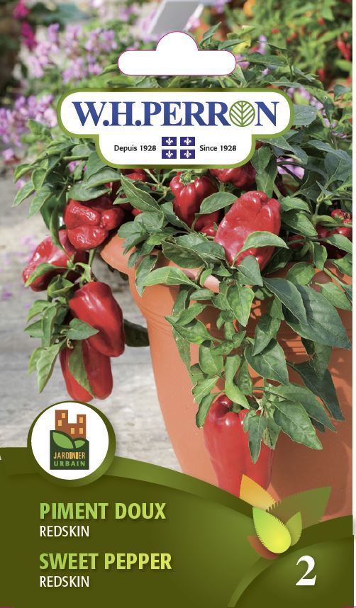 Sweet pepper 'Redskin' - Seeds