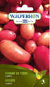 Graines De Pommes De Terre (Solanum Tuberosum) - Environ 20 Semences - Variétés Couleurs Et Formes Différentes - 13