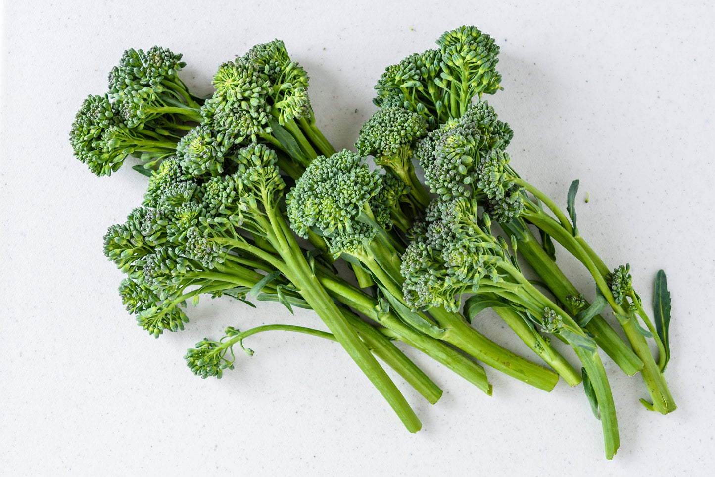 Broccolini 'Sibsey' - Seeds