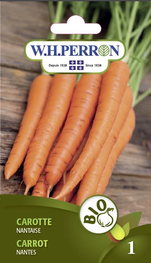 planting nantes carrot seeds Carrot 'Nantes'