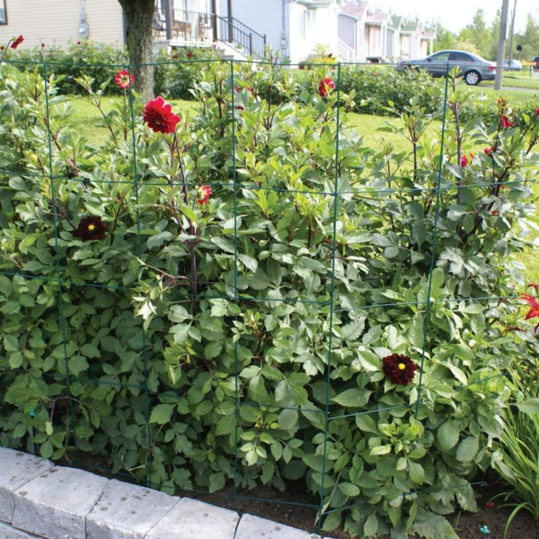 3-Panel Folding Tomato Cage & Plant Trellis