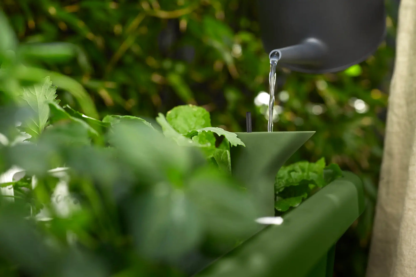 Noa Grow Table by elho – Self-Watering Cultivation Table with Grow House
