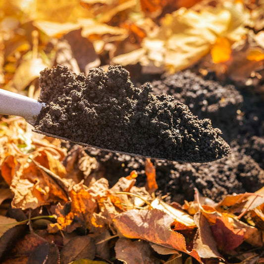 Engrais et traitements d'automne : les indispensables pour fortifier votre terrain avant l'hiver