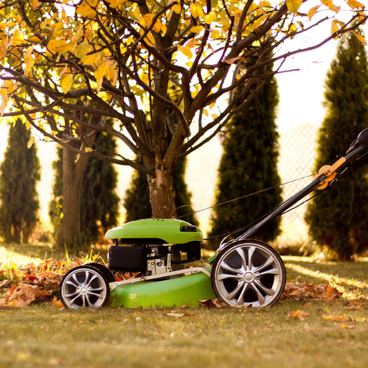 Préparer sa pelouse pour l'hiver : travaux d’automne