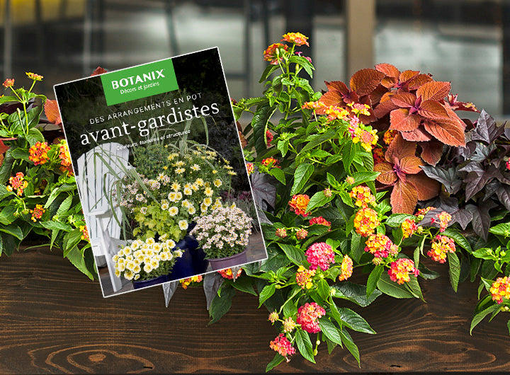Botanix Magazine - Forward thinking container arrangements ...