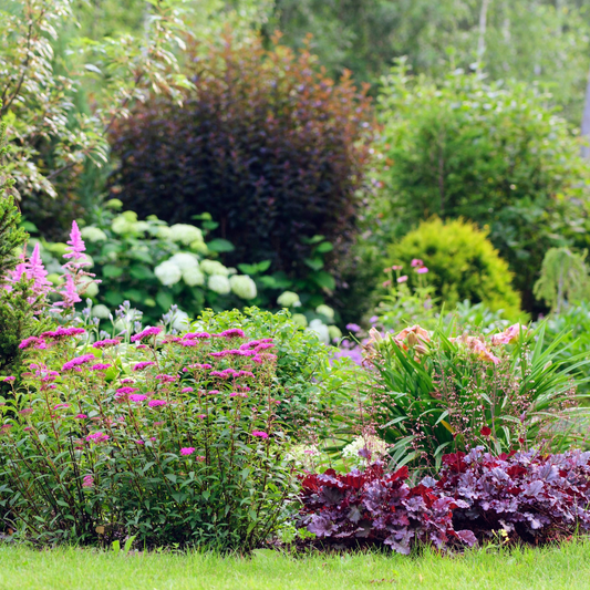 Les 3 étapes pour une plate-bande de vivaces spectaculaires