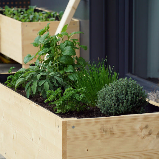 Bien choisir ses contenants pour un potager urbain productif