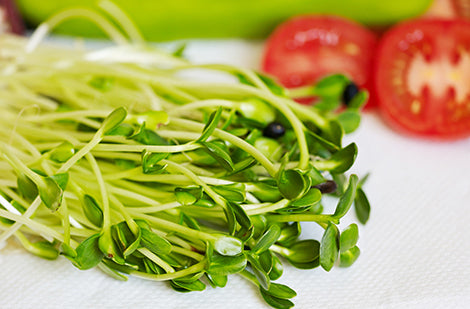 Germes et pousses - De tout pour tous les goûts!