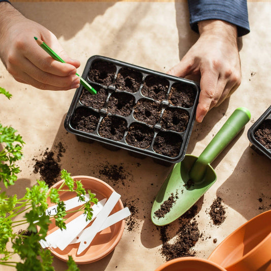 plant seeds with dispenser Manual plant sowing seed dispenser – Jardineries Botanix