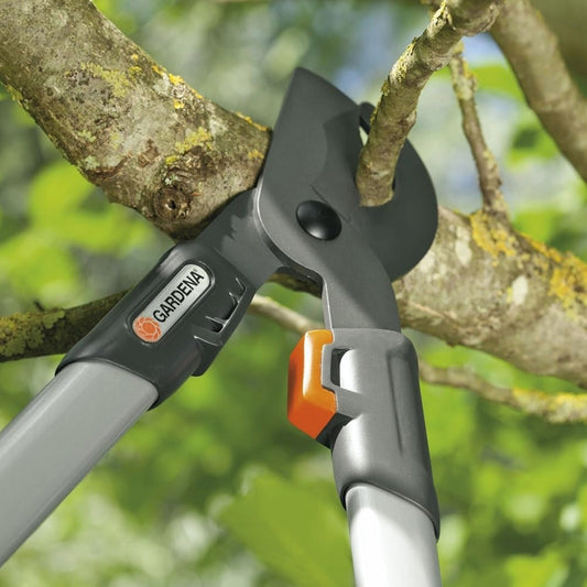 Quand tailler vos arbustes pour un jardin spectaculaire!