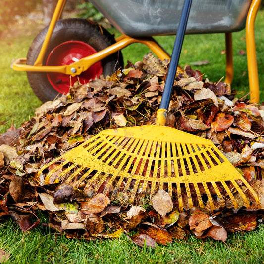 Préparer son jardin pour l'hiver : Les travaux essentiels de l'automne