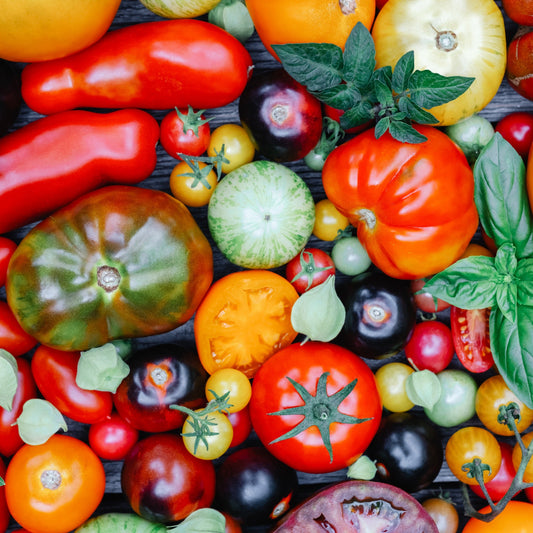 Guide des variétés de tomates: difficile de choisir