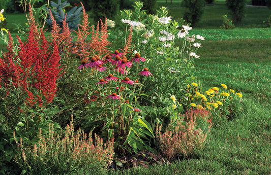 La planification de votre aménagement avec vivaces 2