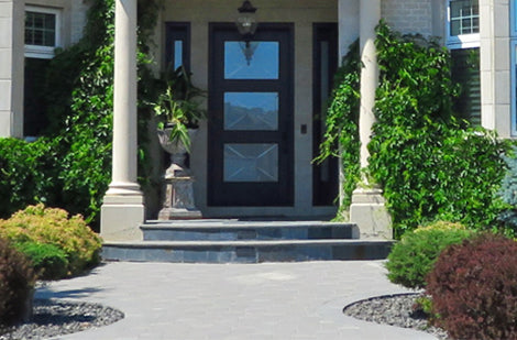 Arbustes : en beauté toute l’année