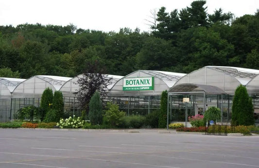 Jardinerie Botanix Pépinière Lapointe Inc.
