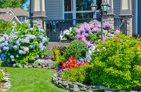 Comment planter des vivaces au jardin