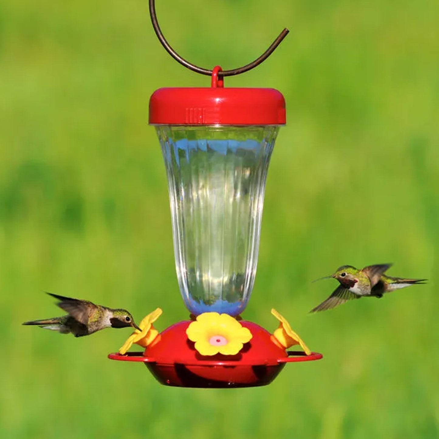Abreuvoir à colibris large ouverture avec pétunia jaune