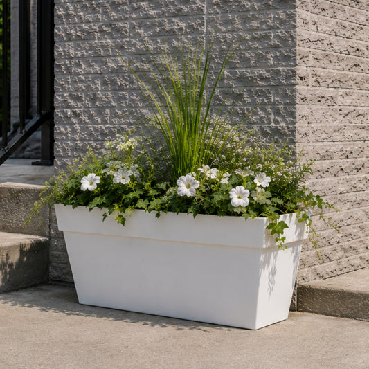 Set De 4 Petites Plantes Artificielles Décoratives Vertes En Pot Pour La Maison Et Le Bureau Set De 4 Petites Plantes Artificielles Décoratives Vertes En Pot Pour La Maison Et Le Bureau