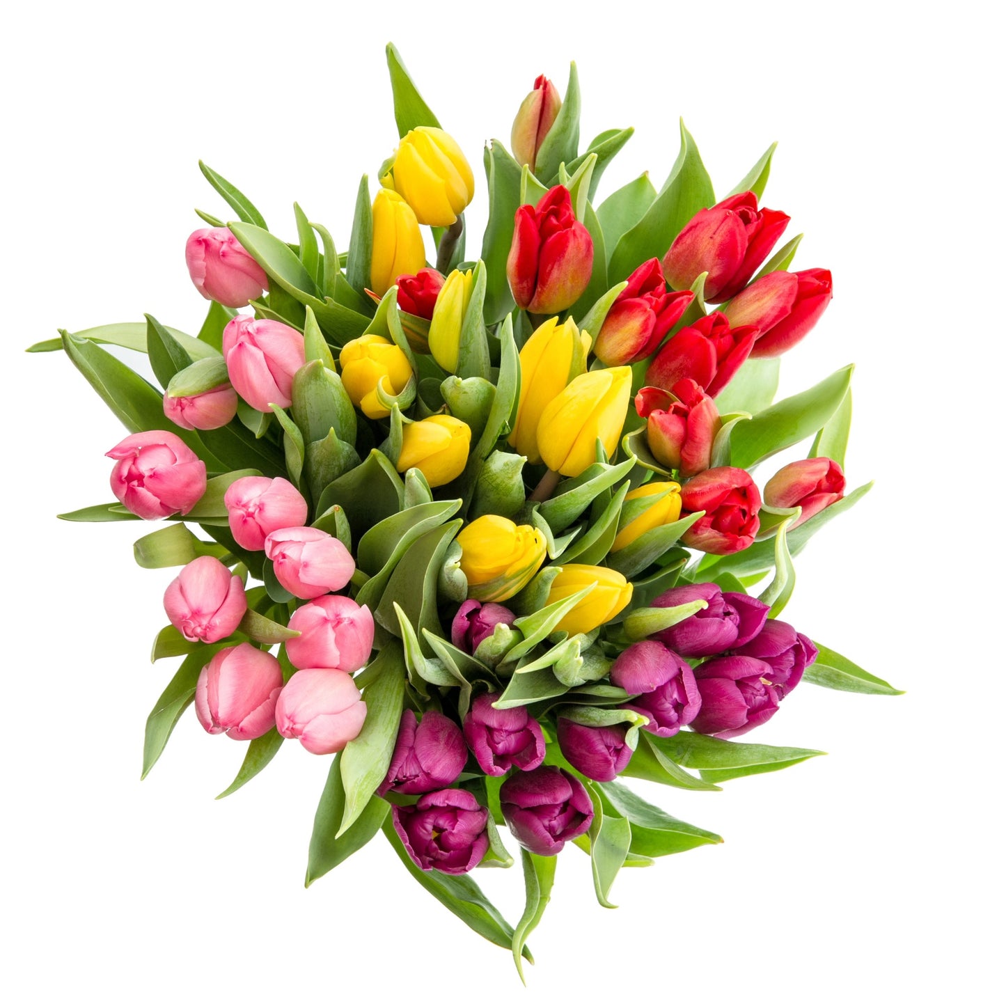 Bouquets de 10 tulipes pour Pâques
