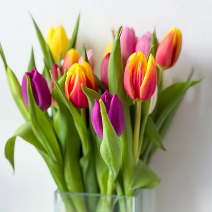 Bouquets de 10 tulipes pour Pâques
