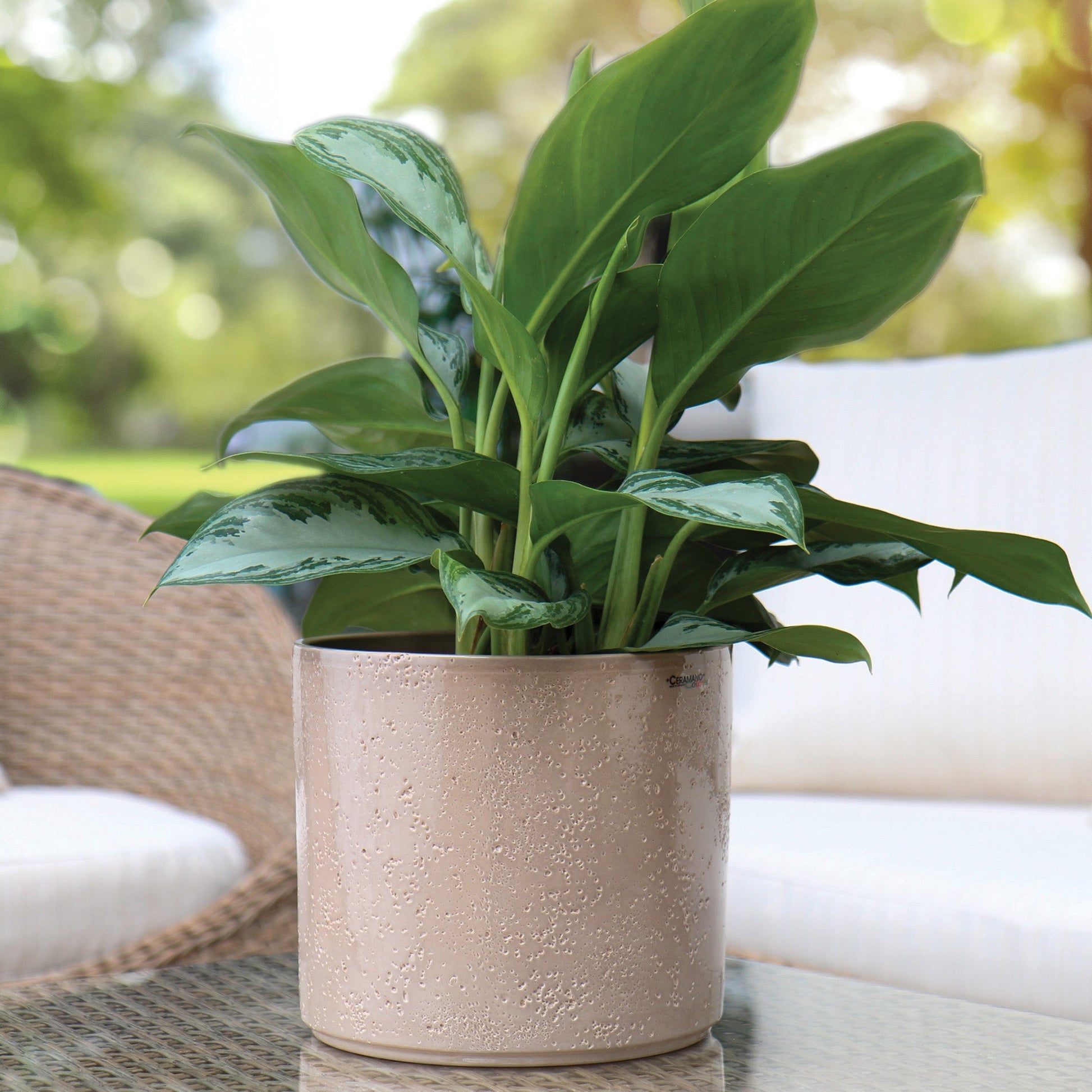 pillar plant pot Pot cover Pillar Lava – Jardineries Botanix
