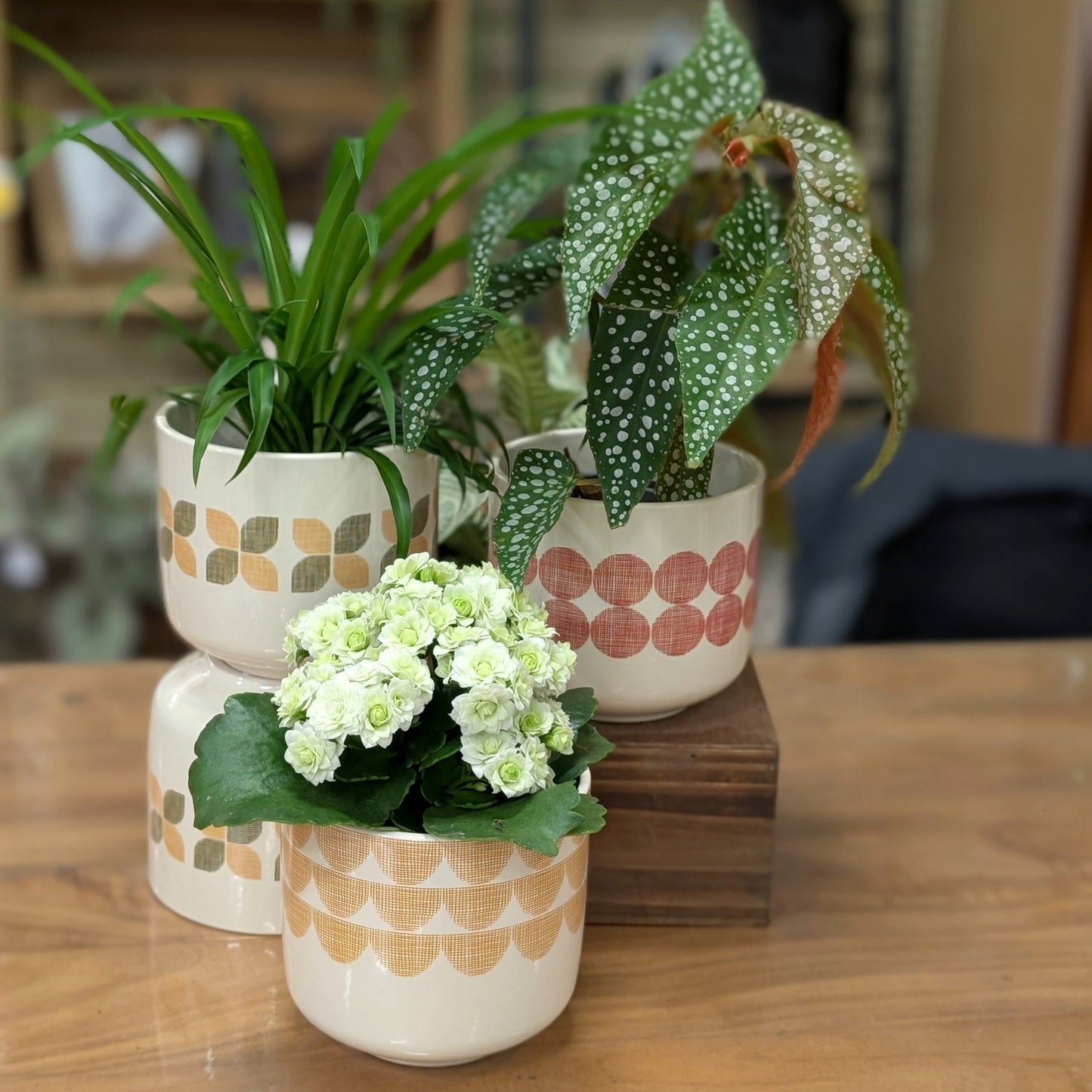 Cache-pot en Céramique Bari