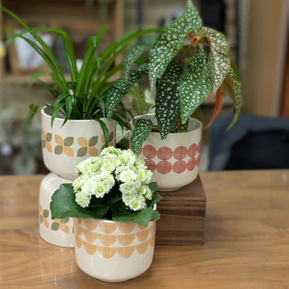 Cache-pot en Céramique Bari