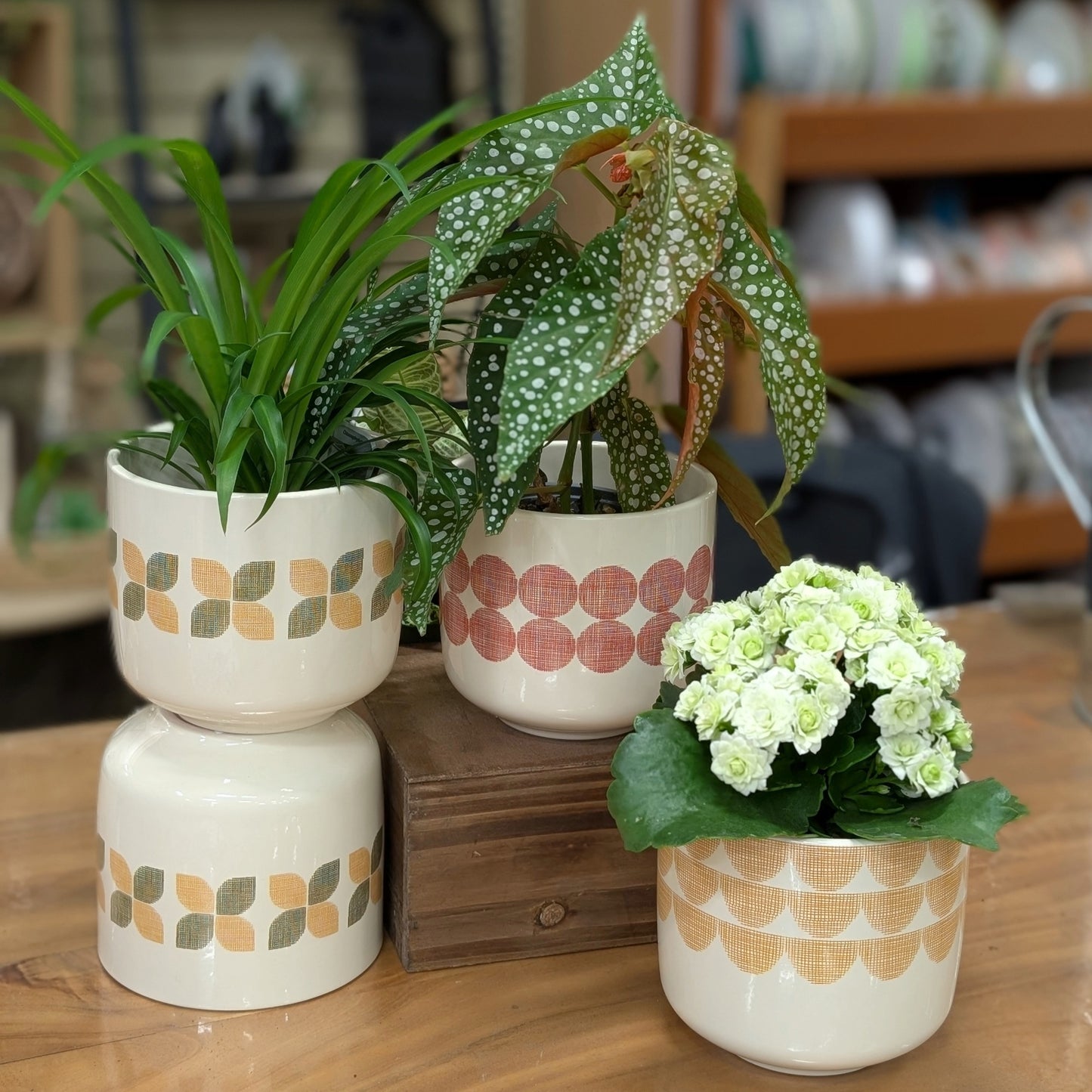 Cache-pot en Céramique Bari