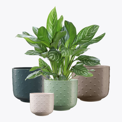 Indoor plant pot cover - Baku Pearl Series