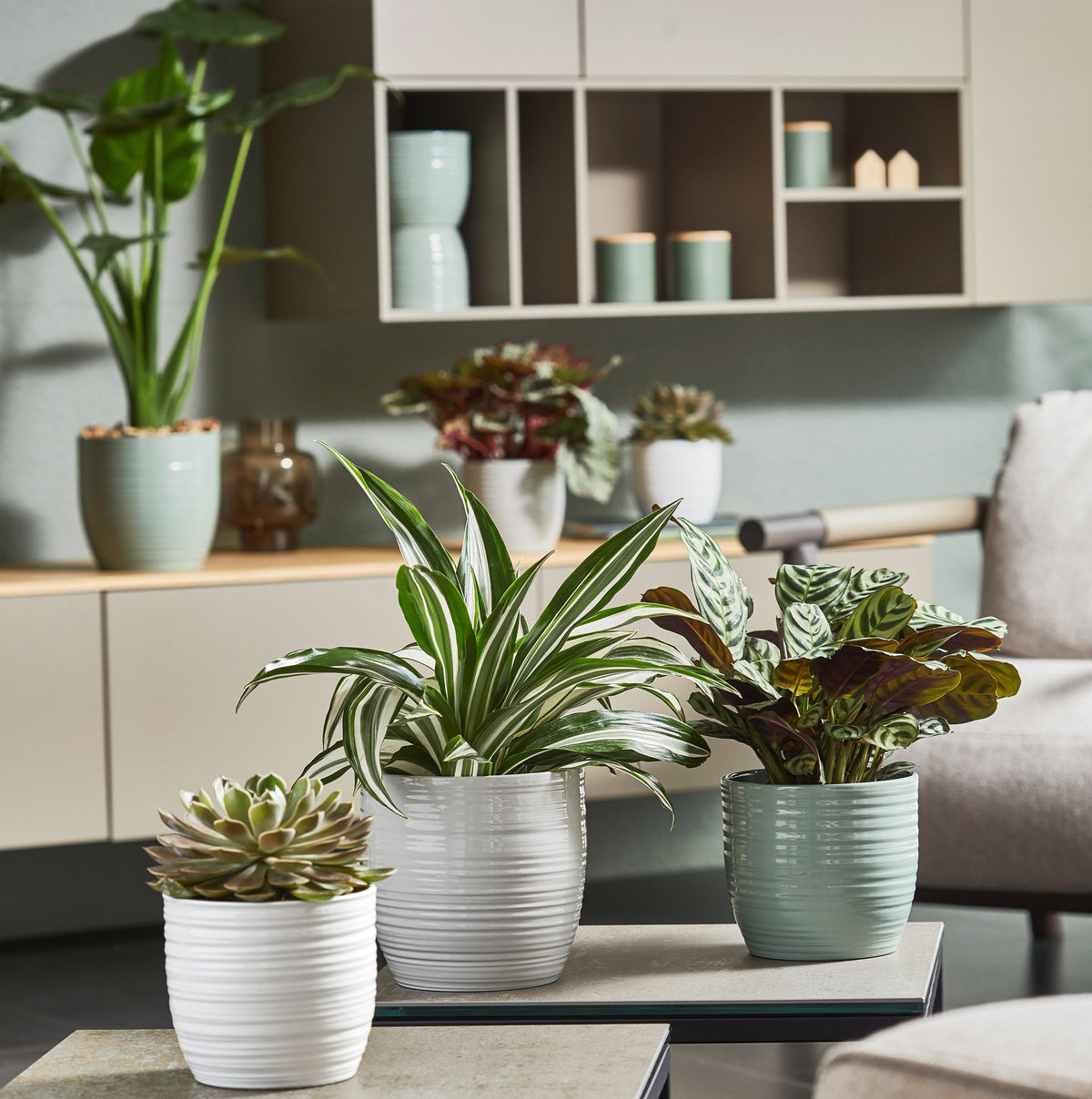 Pure Botanix Indoor plant pot cover - Bergamo Pure Series – Jardineries Botanix