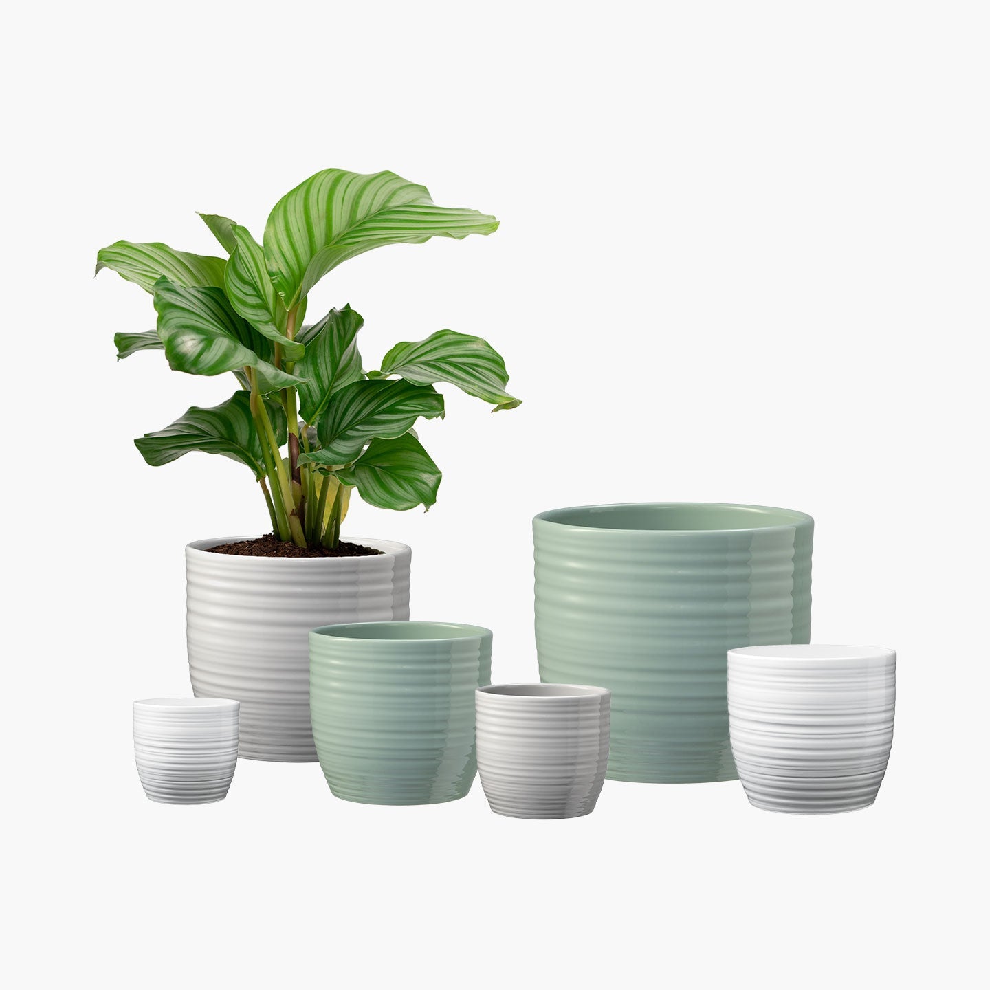 Pure Botanix Cache-pot pour plante d'intérieur - Collection Bergamo Pure ...