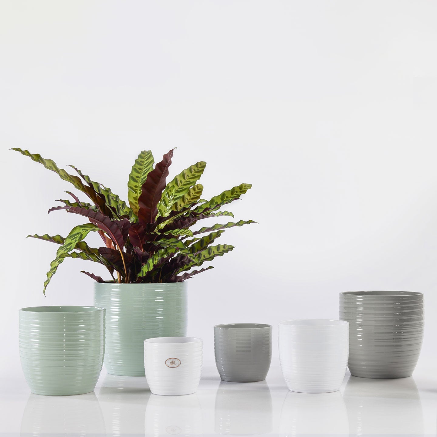 Indoor plant pot cover - Bergamo Pure Series