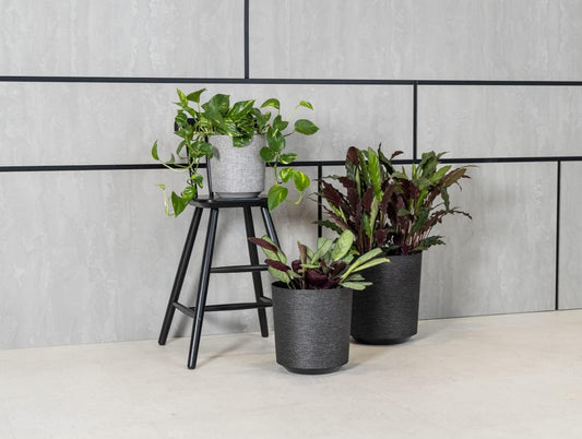 Indoor plant pot cover - Gama Textil Series