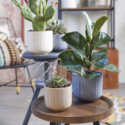 Indoor plant pot cover - Bagua Glazed Series