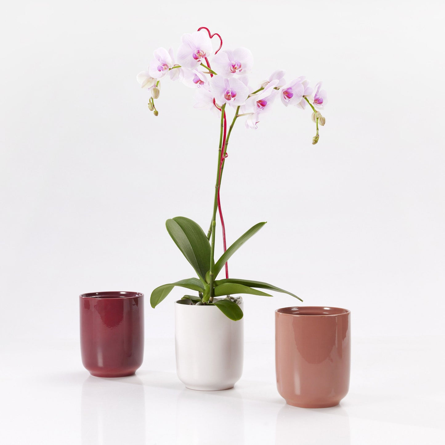 Indoor orchid vase - Bari Summer Series