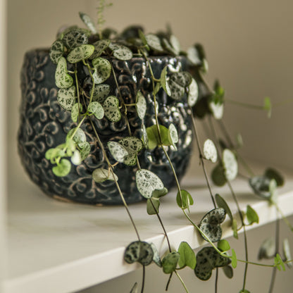 String of Hearts